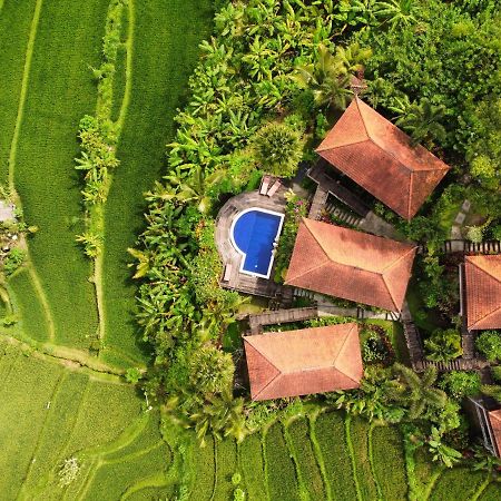 Barong Villas Сидемен Экстерьер фото