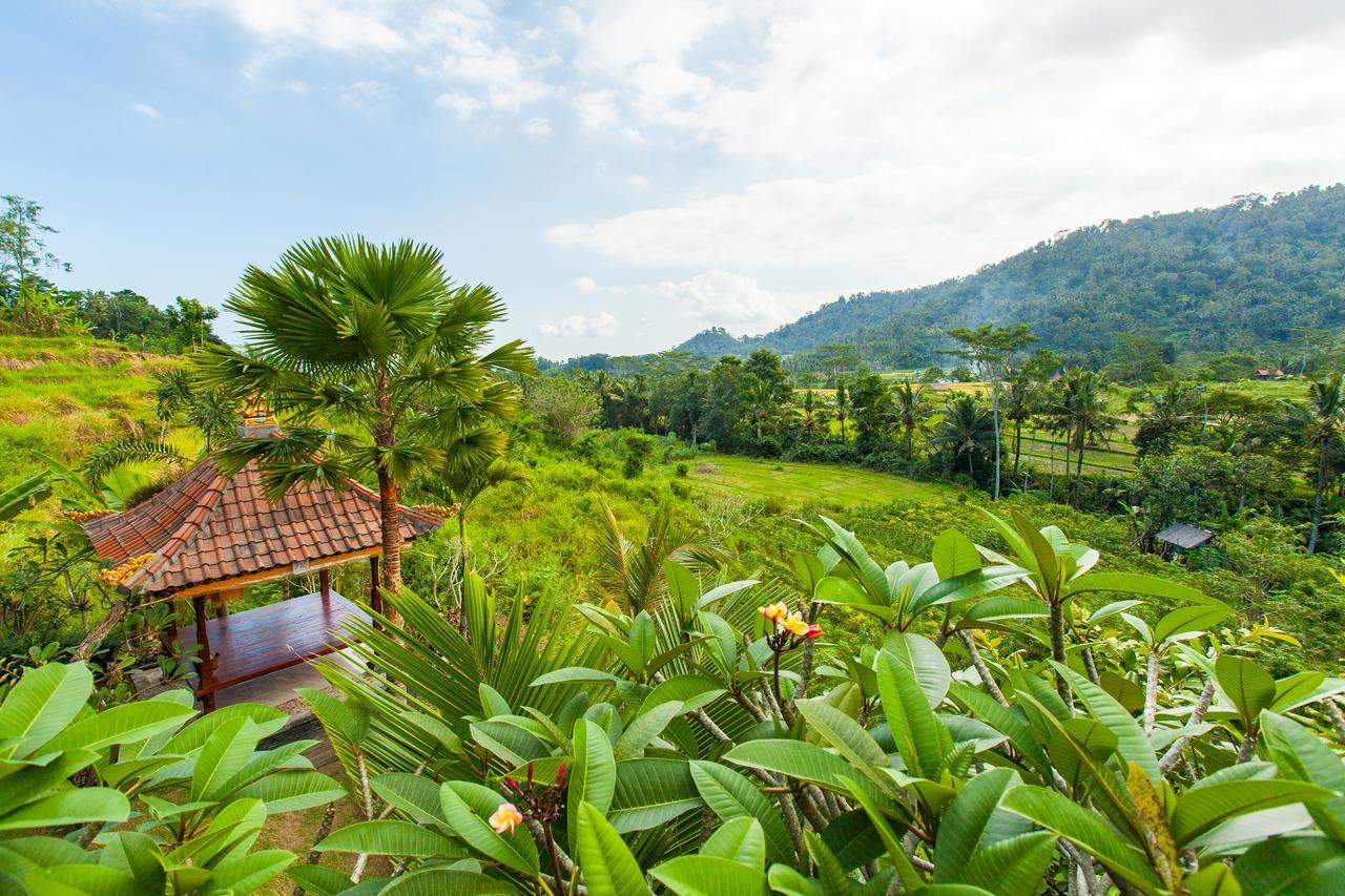 Barong Villas Сидемен Экстерьер фото